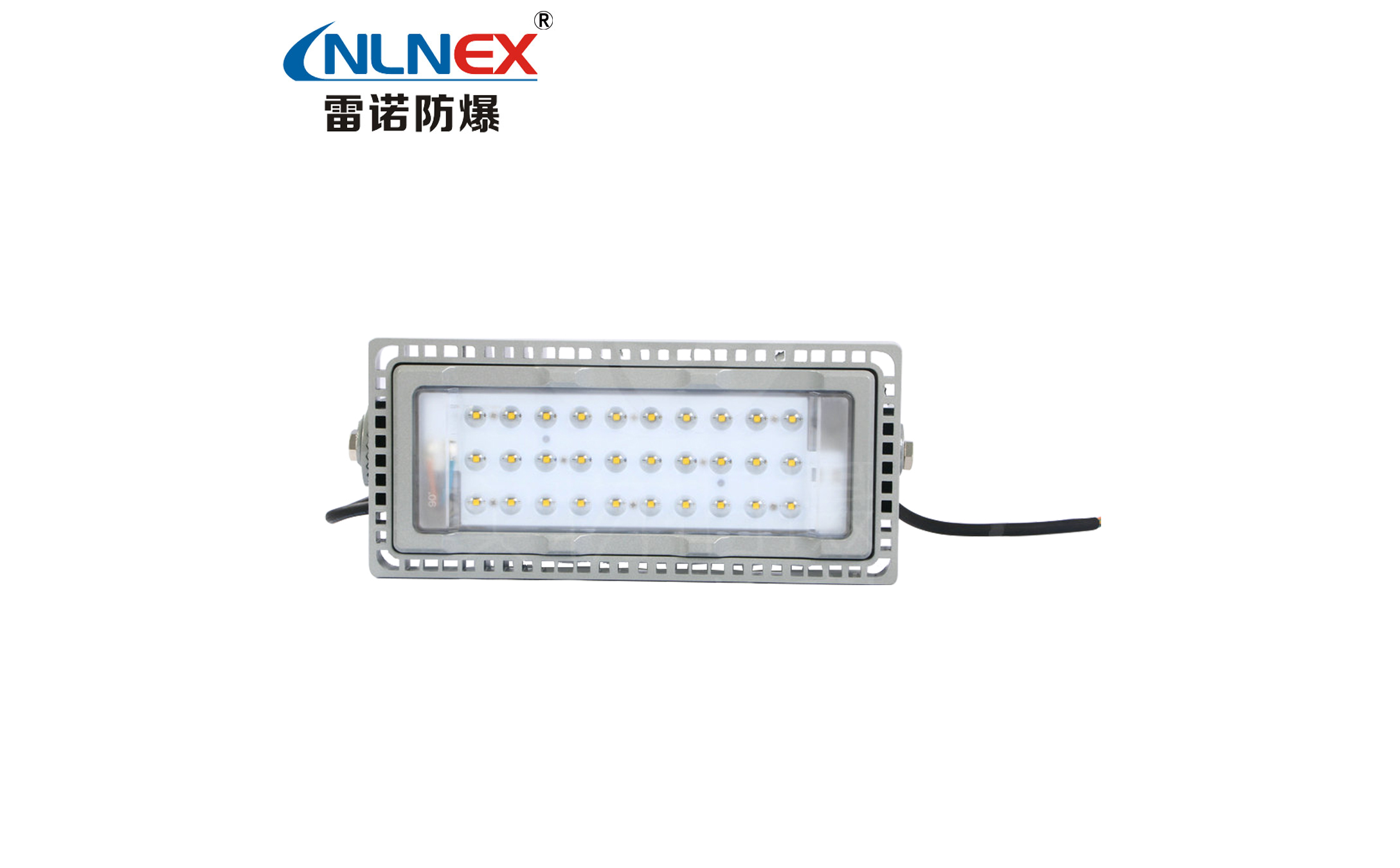 NTC9280-110W LED三防投光燈